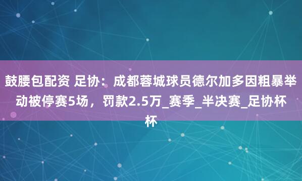 鼓腰包配资 足协：成都蓉城球员德尔加多因粗暴举动被停赛5场，罚款2.5万_赛季_半决赛_足协杯