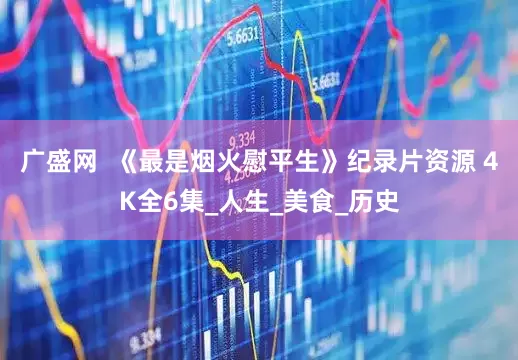 广盛网  《最是烟火慰平生》纪录片资源 4K全6集_人生_美食_历史