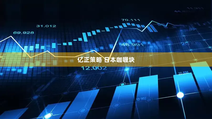 亿正策略 日本咖喱块