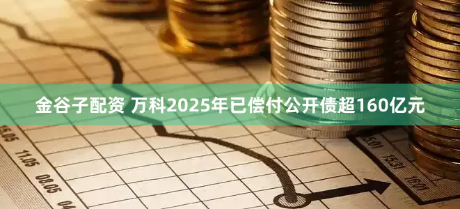 金谷子配资 万科2025年已偿付公开债超160亿元